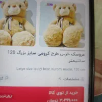 خرس بزرگ|اسباب‌‌بازی|الوند, |دیوار