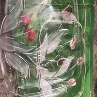 ظروف فرانسه