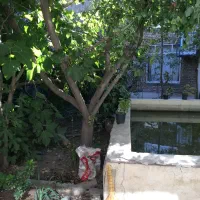 فروش-منزل-ویلایی-700-متری
