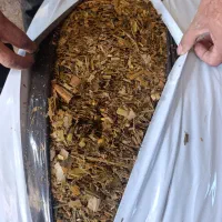 کردستان سقز صاحب روستای تیزاباد