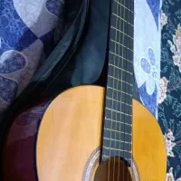 گیتار فروشی|گیتار، بیس، امپلیفایر|بندرعباس, |دیوار