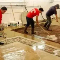 قالیشویی پارسیان  عبادی  قالی شویی
