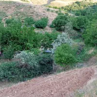 تانکر 12000لیتری ورق3