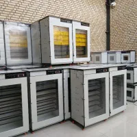 نرخ بقا ۹۹%. دستگاه جوجه‌کشی برتر بازار