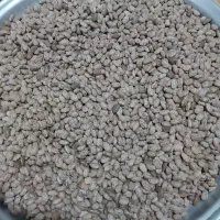 لوبیا چیتی
