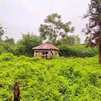 ۷۰۰ متر زمین کاملا مسکونی