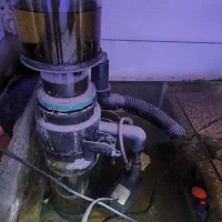 اکواریوم اب شور در حال کار کاملا سالم همراه ماهی|ماهی|تهران, صاحب الزمان|دیوار