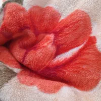 یونجه چین سه بفروش میرسد