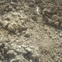 کود حیوانی|لوازم جانبی حیوانات|خاوه, |دیوار