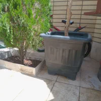 گلدان سایز بزرگ