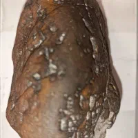 شهاب سنگ|جواهرات|جیرفت, |دیوار