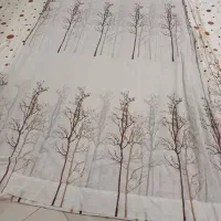 پرده پزیرایی