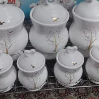 پاسماوری نو با کارتن