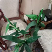 گلهای مصنوعی زیبا در حد نو|گل مصنوعی|تهران, سعادتآباد|دیوار