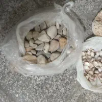 لوازم آکواریوم|لوازم جانبی حیوانات|شیراز, رکنآباد|دیوار