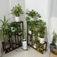 استند پایه گل