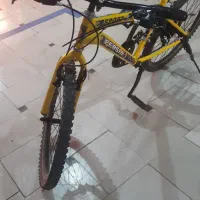 دوچرخه|دوچرخه، اسکیت، اسکوتر|قم, باغ کرباسی|دیوار