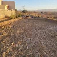 زمین کشاورزی با امکانات کامل|فروش زمین و ملک کلنگی|مبارکه, |دیوار