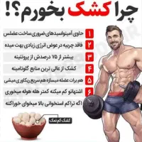 کشک خشک یا قروت خالص گوسفندی بز میش|خوردنی و آشامیدنی|مشهد, آبکوه|دیوار
