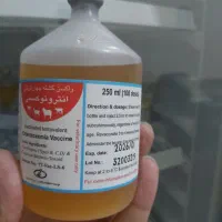 واکسن علفی آنترو شرکت رازی برای دام