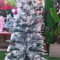 وارد کننده کاج کریسمس