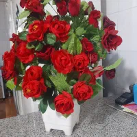 گل رز سرخ بزرگ