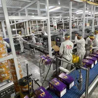 استخدام شرکت نظری|استخدام صنعتی، فنی، مهندسی|بستان آباد, |دیوار