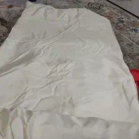 پرده استر