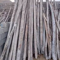 خریدچوب و درخت/ قطع درخت/هرس/چوب سقفی/حرس|خدمات باغبانی و درختکاری|مشهد, توس (بلوار توس)|دیوار