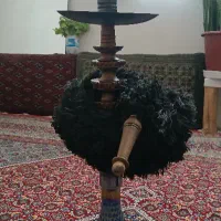 قلیان،هلو۲ساله