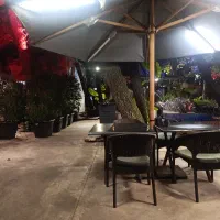 استخدام سالن‌کار و ویتر