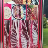 شاطر وصندوقدار و سالندار