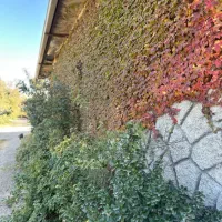 نگهبان تمام وقت