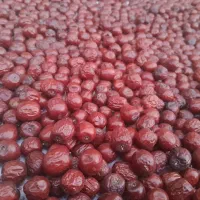 محصولات کشاورز نمونه|خوردنی و آشامیدنی|بانه, |دیوار