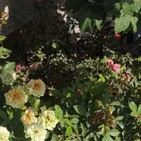 جعبه ابزار گم شده