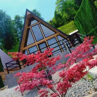 اجاره کلبه سوئیسی با ویوی زیبا