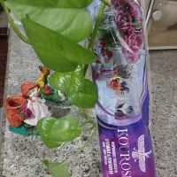 سفره یکبار مصرف وکیسه زباله|ظروف نگهدارنده، پلاستیکی، یک‌بارمصرف|کرج, المهدی|دیوار