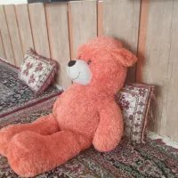 عروسک خرسی|اسباببازی|تایباد, |دیوار