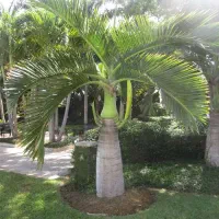 اجاره ویلا تجاری دزفول برای مشاغل سر جاده اصلی