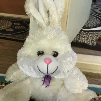 عروسک خرگوش