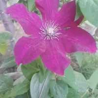 فروش ساختمان ویلایی کلنگی