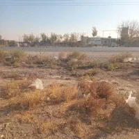 کارگاه بلوک زنی جاده اک بعد از بلوار شهدا|فروش دفتر صنعتی، کشاورزی، تجاری|تاکستان, |دیوار