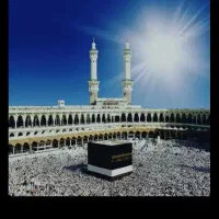 فروش فیش حج 2عدد