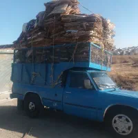 خریدار کارتن فروشگاهی یک دست