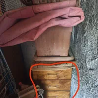 با هم ببر مناسب