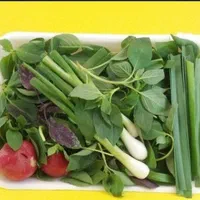 سبزی خوردن پاک شده تمیز|خوردنی و آشامیدنی|اهواز, کوی رمضان|دیوار