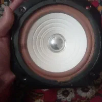 بلند گو