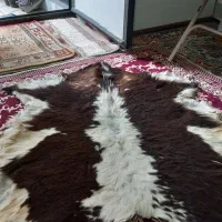 قیمت۵۰۰ تومان