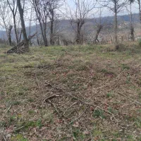 زمین دارم یک هکتار بلااستفاده