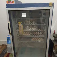 دستگاه جوجه کشی بلدرچین دماوند